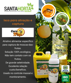 Cera Trap Atrativo Alimentar para captura de moscas da fruta