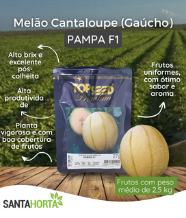 Melão Híbrido Cantaloupe Gaúcho Pampa F1